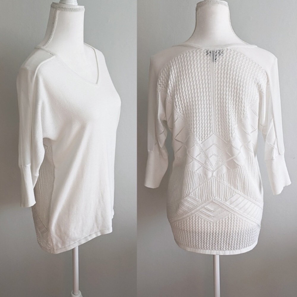 The Limited Geometric Pointelle Sheer Sweater